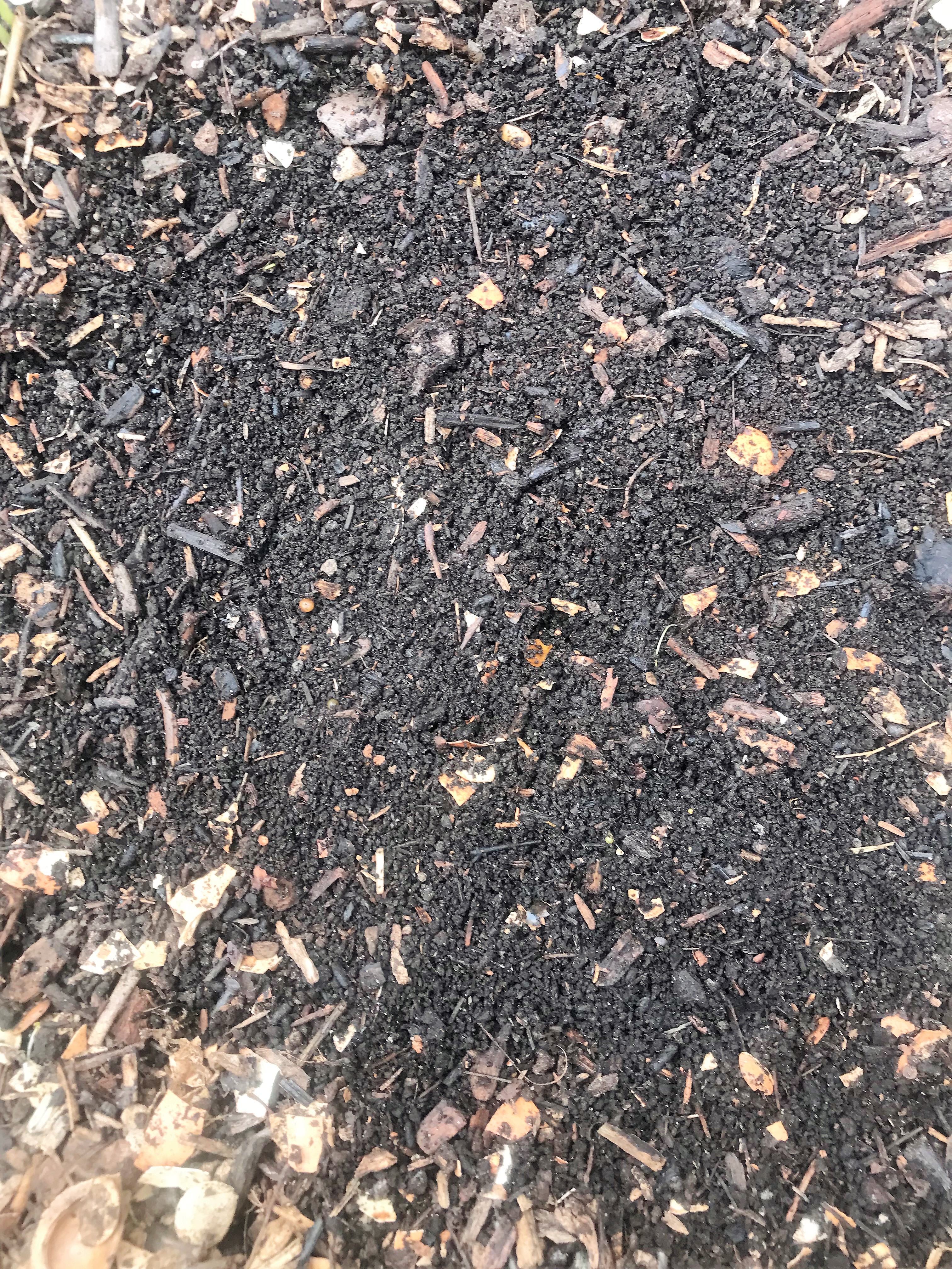 20230406_Le Tonkin-Compost mur