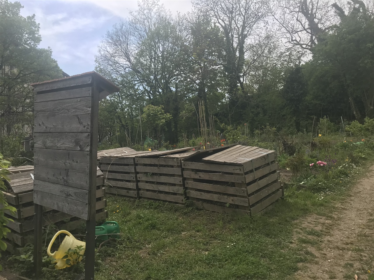 Lausanne : plantage de la Harpe